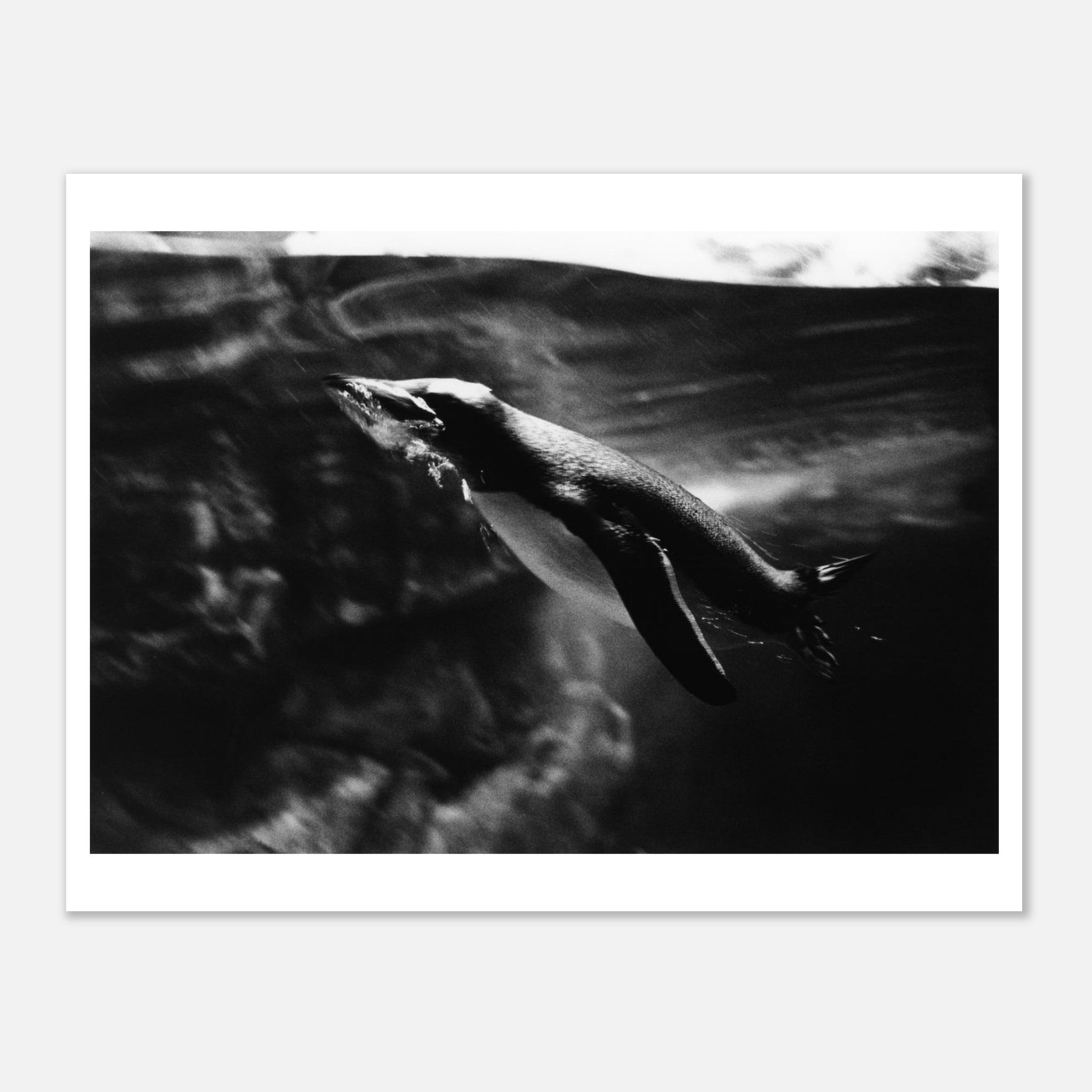 f73f7a50-7abc-4fd2-aea6-bd53c08e2169